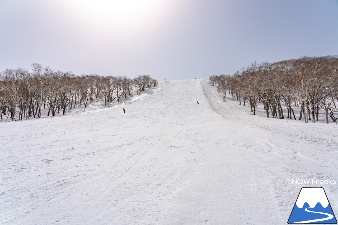 ニセコビレッジ ＆ ニセコHANAZONOリゾート ＆ ニセコ東急 グラン・ヒラフ｜現在も全エリアで山頂から山麓まで大部分滑走可能！とにかく広い世界のニセコ(^^)v